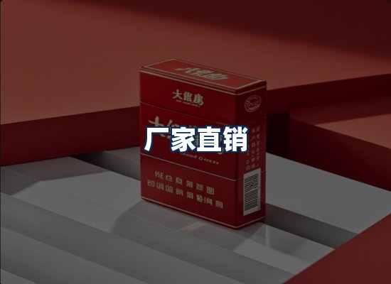 专业团队办公环境